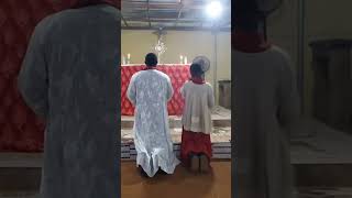 Our Christmas Crusade 4th Day At St Benedict Catholic Church Awada