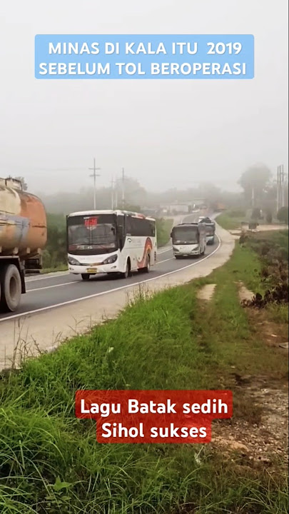 SIHOL SUKSES LAGU BATAK SEDIH || MINAS 2019 #lagubataksedih #shorts #viralvideo