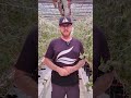 Quick Fixes For Your Commercial Grow