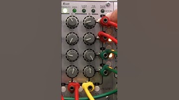 Modular Wild with TipTop Audio Trigger Riot beatz