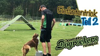 Der Elefantentrick - Deinem Hund Fuß laufen beibringen  [Teil 2]