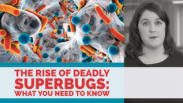 The Rise of Deadly Superbugs: What You Need to Know