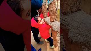 Kiya Zoo Se Nhi Niklegi