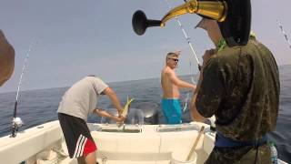 Hudson Canyon + 17 Mahi caught