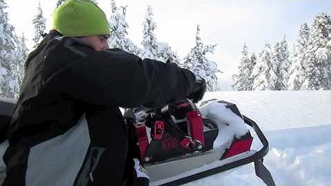 NoronaLife.com - SledShot Dime Bag