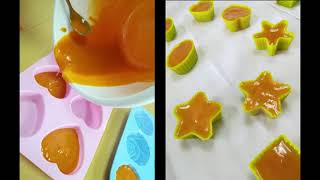 Učenička Zadruga Sonščica