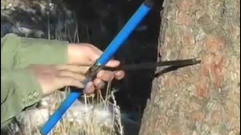 Dendrochronology and Climate