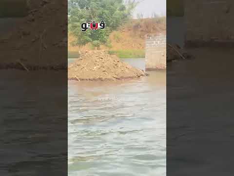 المراكب وسيلة تنقل سكان قرية دلهمو في المنوفية بسبب فيضان النيل