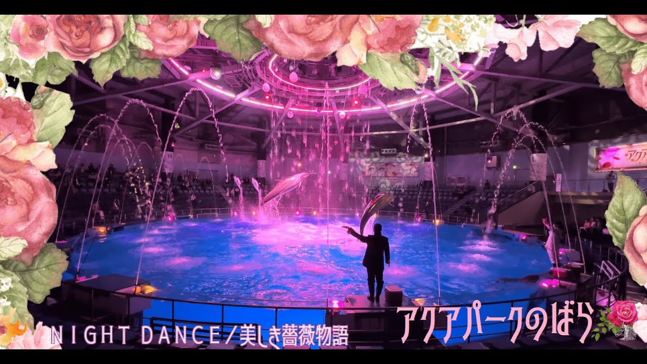 完全版】マクセルアクアパーク品川 ドルフィンパフォーマンス（イルカ