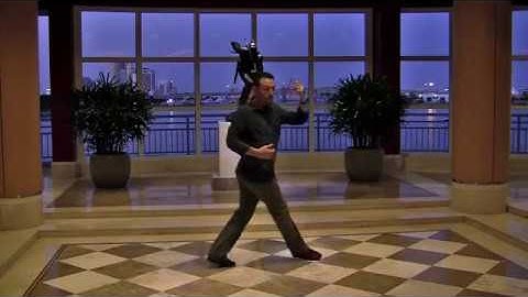 StepFlix Tango lessons, level 1, class #1 the basics, by Diego Santana
