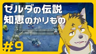 菅原トンボとゼルダの伝説 知恵のかりもの #9