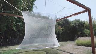 Where Art, Engineering, and Architecture Intersect: A Panel Discussion