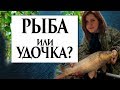 Рыба или удочка??