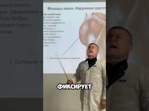 Большая ягодичная мышца