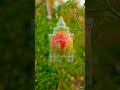 Gardening Magic: Castle Shaped Tomato #GardeningHacks #TomatoArt #CreativeFarming #DesiGardening #ai