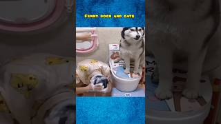 Cute dog funny moments | Part-34| funny dog videos in Bengali| shorts shortvideo funny  pet
