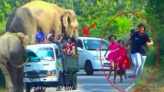 Escaping A Wild Elephant: Shocking Footage Of Families And Passengers Fighting For Survival