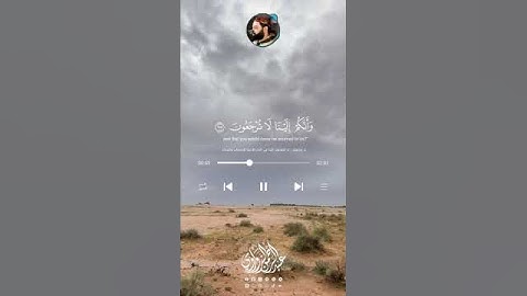 خواتيم سورة المؤمنون|| الشيخ عبد الرحمن الزواوي ❤️❤️