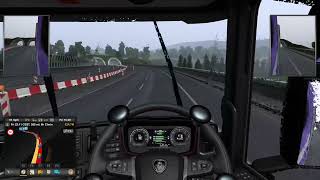 ETS2 TruckersMP Reckless driving report