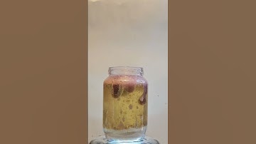 DIY lava lamp with things you have at home! Fun experiment! #diy #experiment #fun #athome #lavalamp