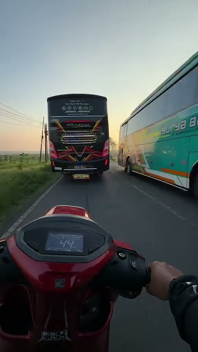 BEJEU TRONTON ⁉️ #busmania #exotic
