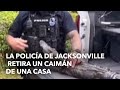 La policía de Jacksonville retira un caimán de una casa