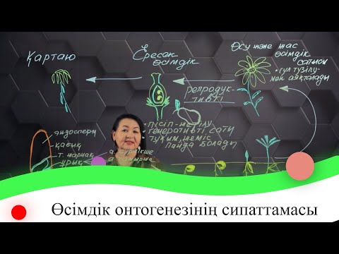 Бейне: Өсімдік жасушасында не бар?