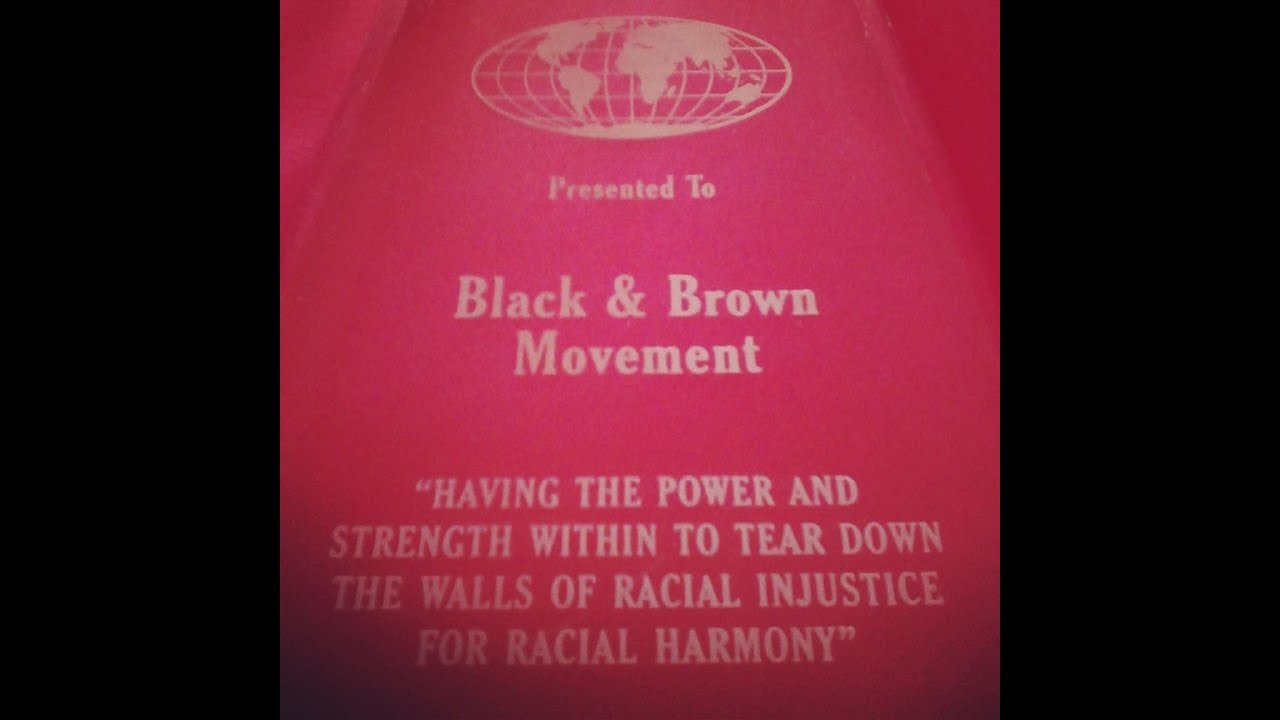 Black and Brown Movement Radio Podcast episode 13 (part 1)