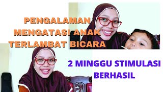 mengatasi anak terlambat bicara speech delay 2 tahun