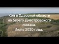 Коп в Одесской области. Июнь 2020.