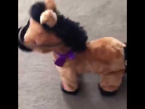 plush walking horse