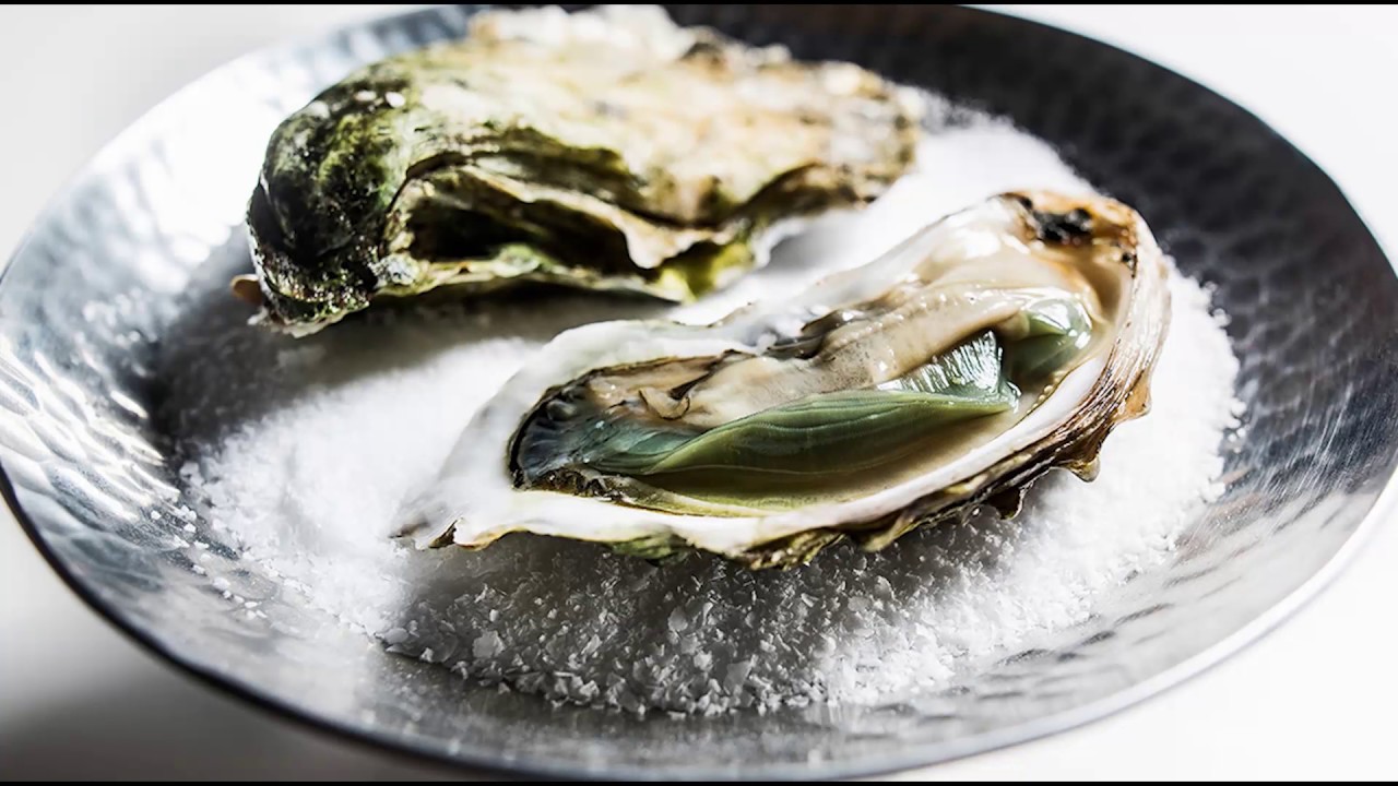 The Oyster Catchers NC Now UNCTV YouTube