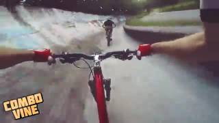 Combo Vine 1113