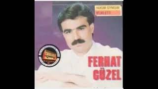 FERHAT GÜZEL bu dağlarda kar olsayıdım