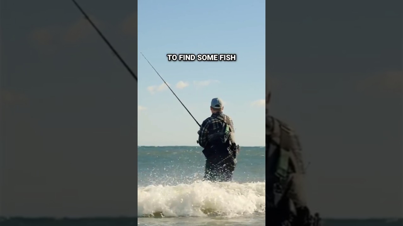 Серфинг в Сэнди-Хук, Нью-Джерси, для ловли полосатого окуня 