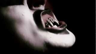 Noize Suppressor presents Circus of Hell teaser [Album Showcase]