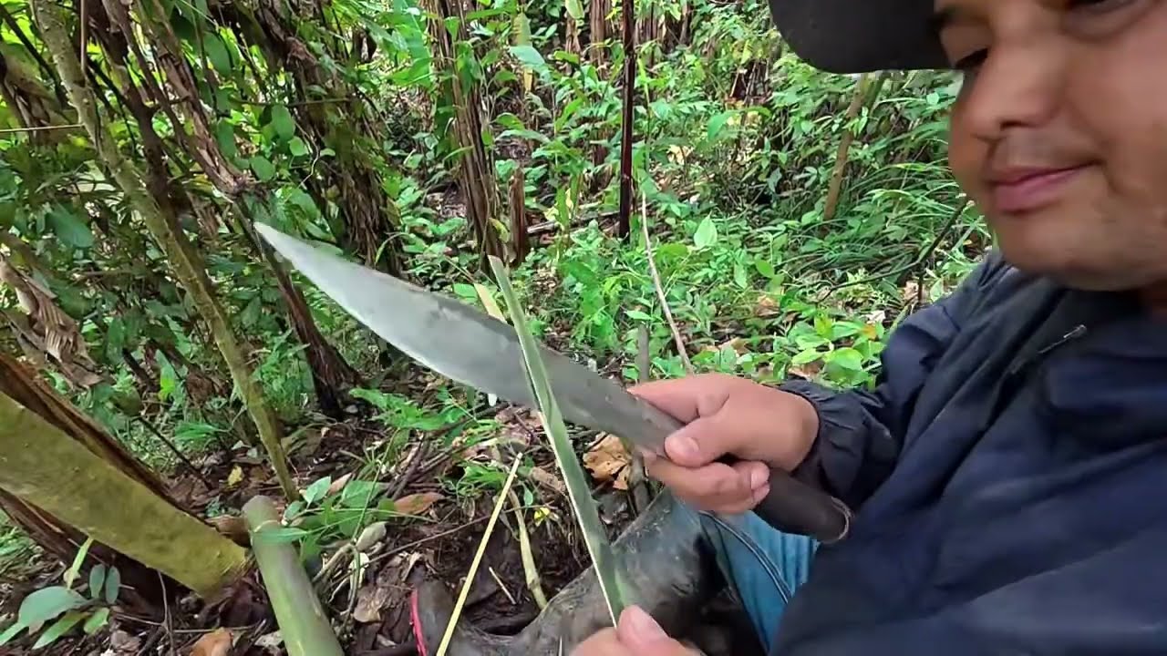 อนป่า หน้าฝน บรรยากาศดี   The chef vowit