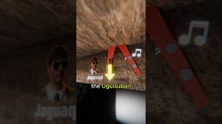 Why You Could Never Surprise A Ninja.