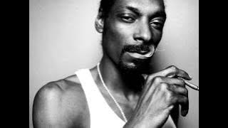 Alok & Icy Sasaki - Snoop Sings