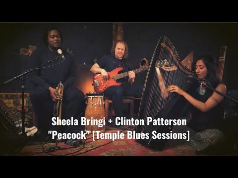 Peacock [Temple Blues Sessions] - Sheela Bringi & Clinton Patterson