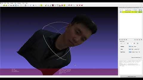 Self-portrait volumetric scan from point cloud to OBJ mesh in Meshlab