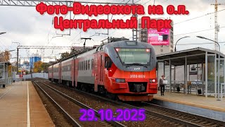 Фото-Видеоохота на о.п. Центральный Парк (29.10.2025)