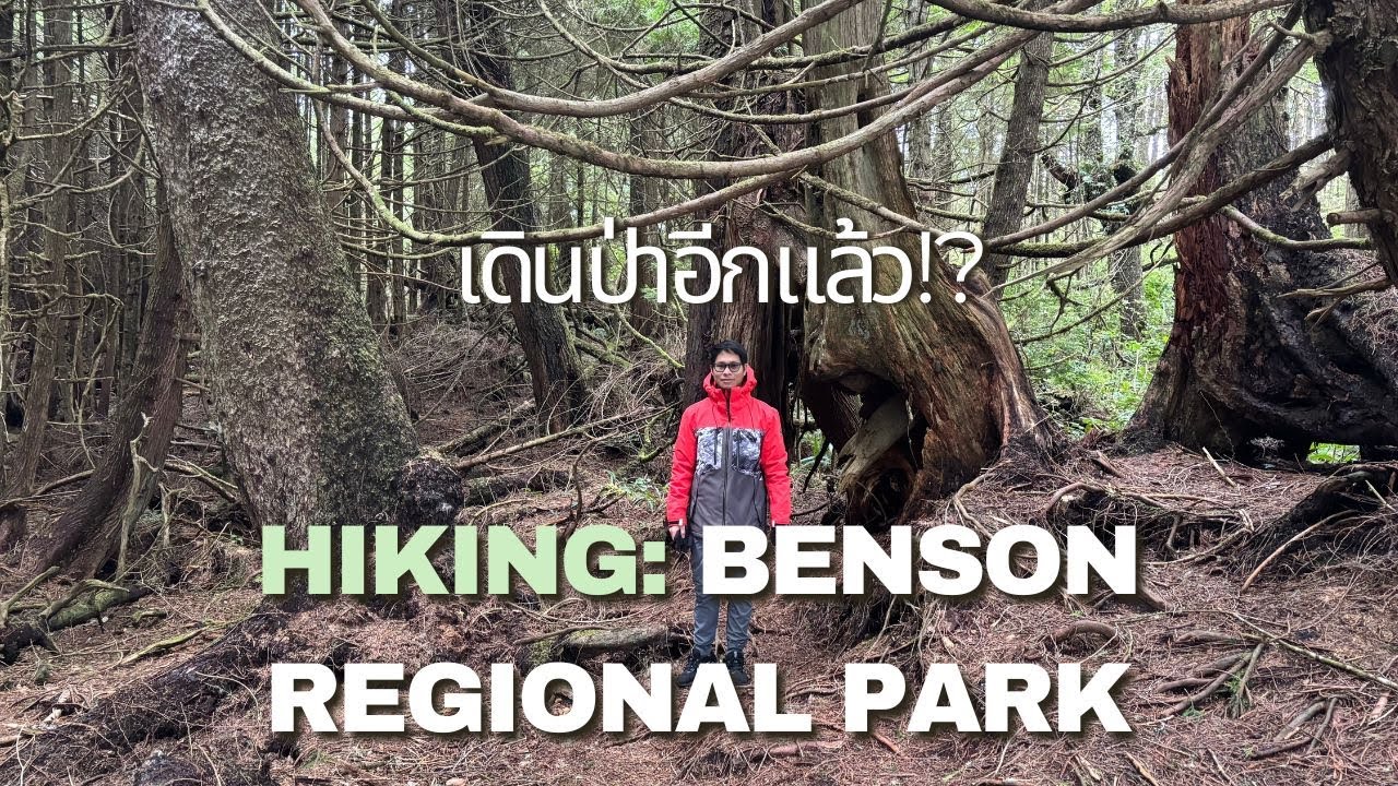 Hiking: เดินป่าอีกแล้ว! Benson Creek Falls Regional Park Nanaimo, B.C