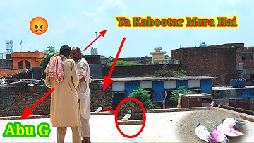 Yah Kabootar Mera Hai 😡 Fight Men | #Hamza Sidhu