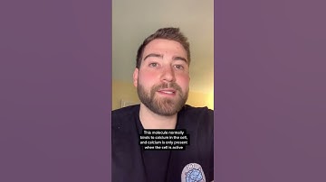 HOW DO WE KNOW WHICH CELLS ARE FIRING IN A LIVE BRAIN?