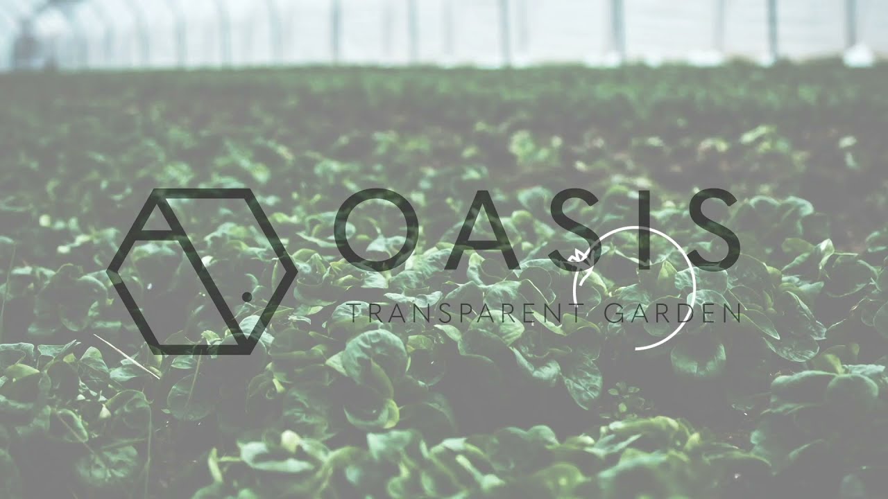 OASIA Vertical Farming Intro Animation