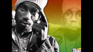 Sizzla feat. Capleton - The Vibes