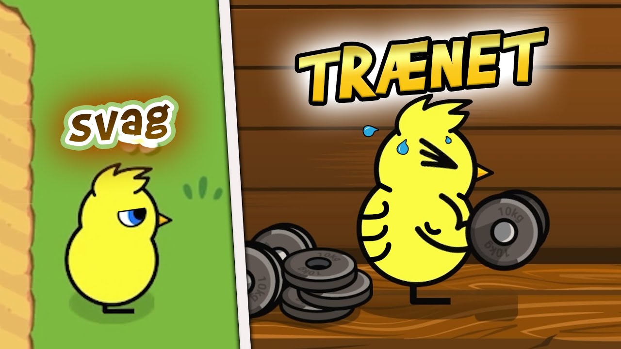 TRÆNER og TÆVER DE ANDRE!