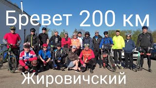 Жировичский бревет  200  км. 08.05.2023г.