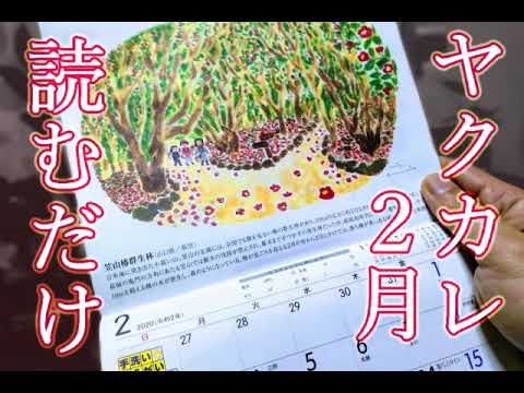 「2020年ヤクルトカレンダー ２月（笠山椿群生林）を読む」：ROM（リードオンリー村田）